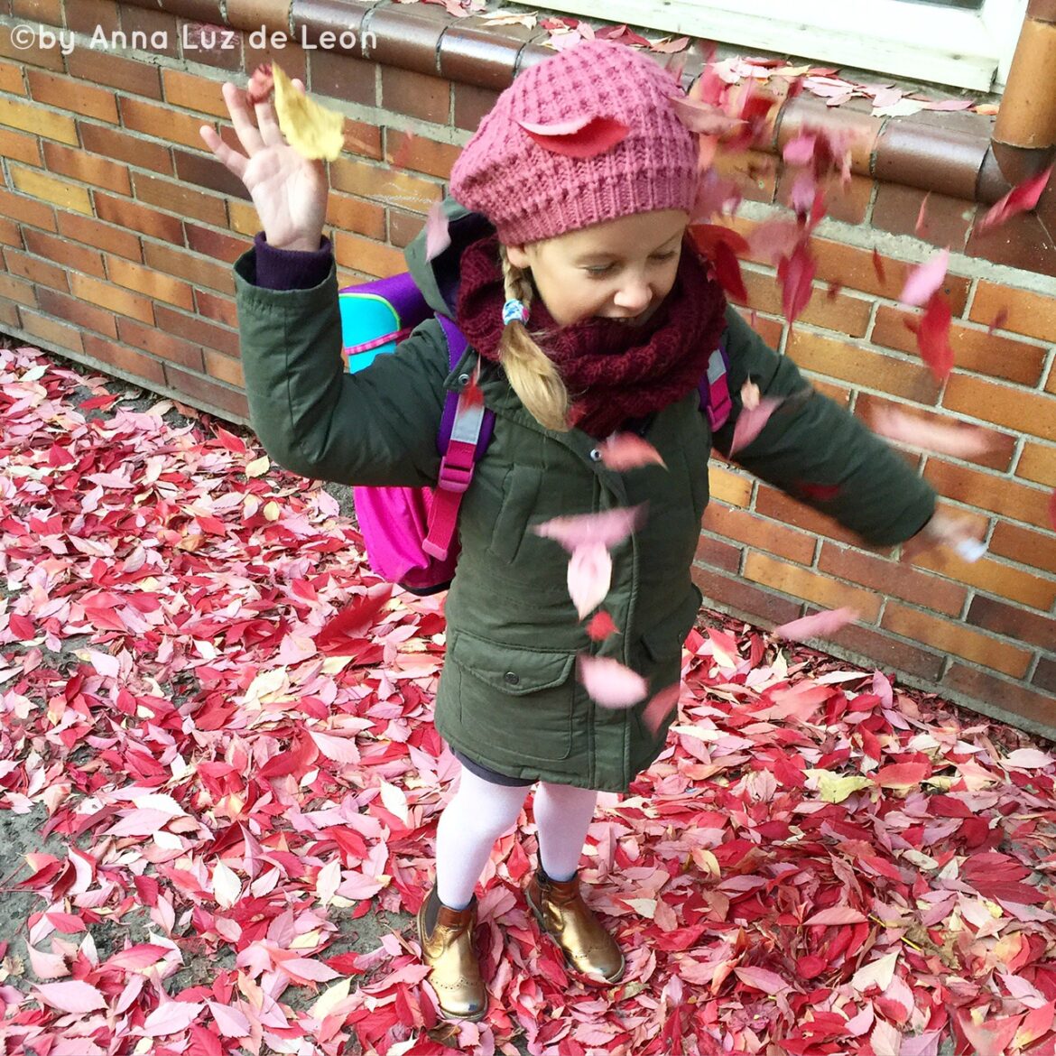 12v12, 12 von 12, Oktober, Bloggeraktion