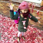 12v12, 12 von 12, Oktober, Bloggeraktion