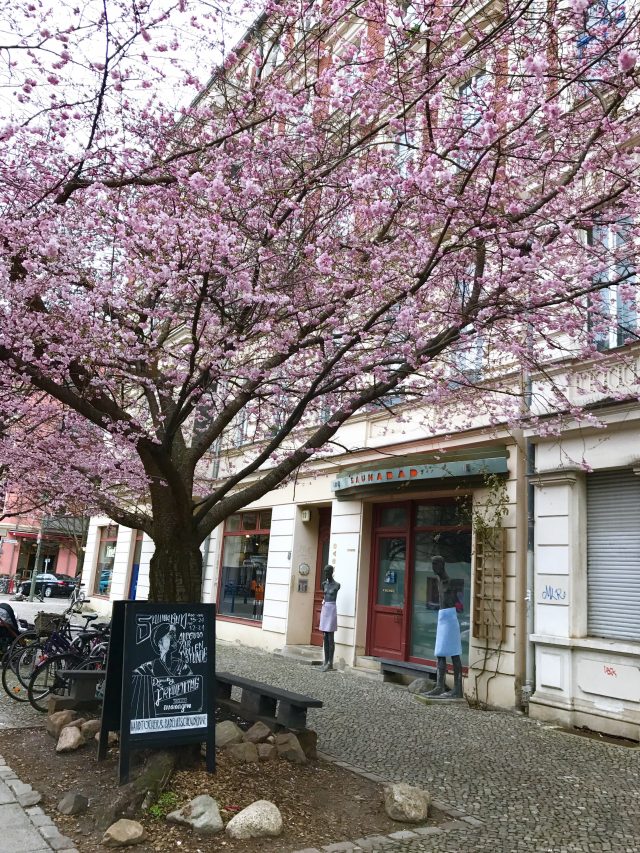 Kirschblüte im Prenzlauer Berg | Berlinmittemom.com