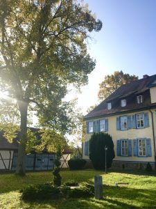 Hotel zum Herrenhaus im Nationalpark Hainich | berlinmittemom.com