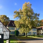 Hotel zum Herrenhaus im Nationalpark Hainich | berlinmittemom.com