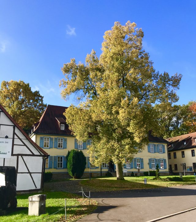 Hotel zum Herrenhaus im Nationalpark Hainich | berlinmittemom.com
