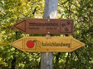 Nationalpark Hainich | berlinmittemom.com