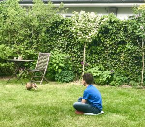 Wochenende in Bildern: Häschenstudien | berlinmittemom.com