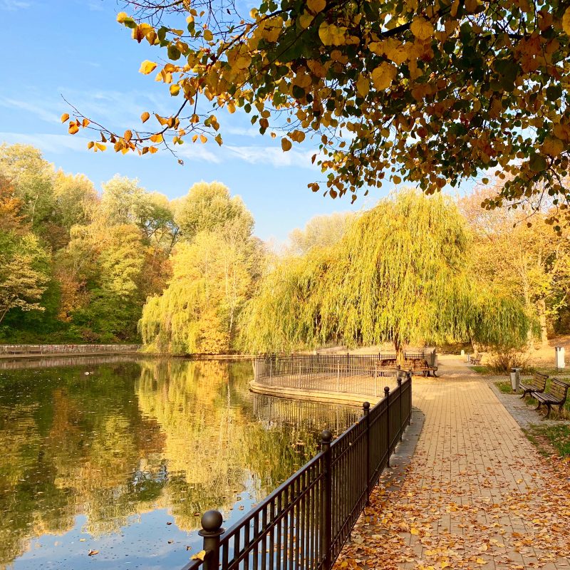 Herbstfarben im Volkspark Friedrichshain | berlinmittemom.com