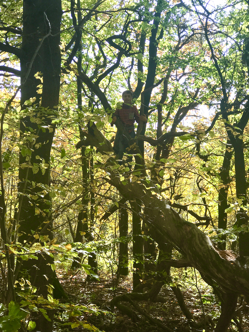 Junge Klimaschützer - Protect the forest | berlinmittemom.com