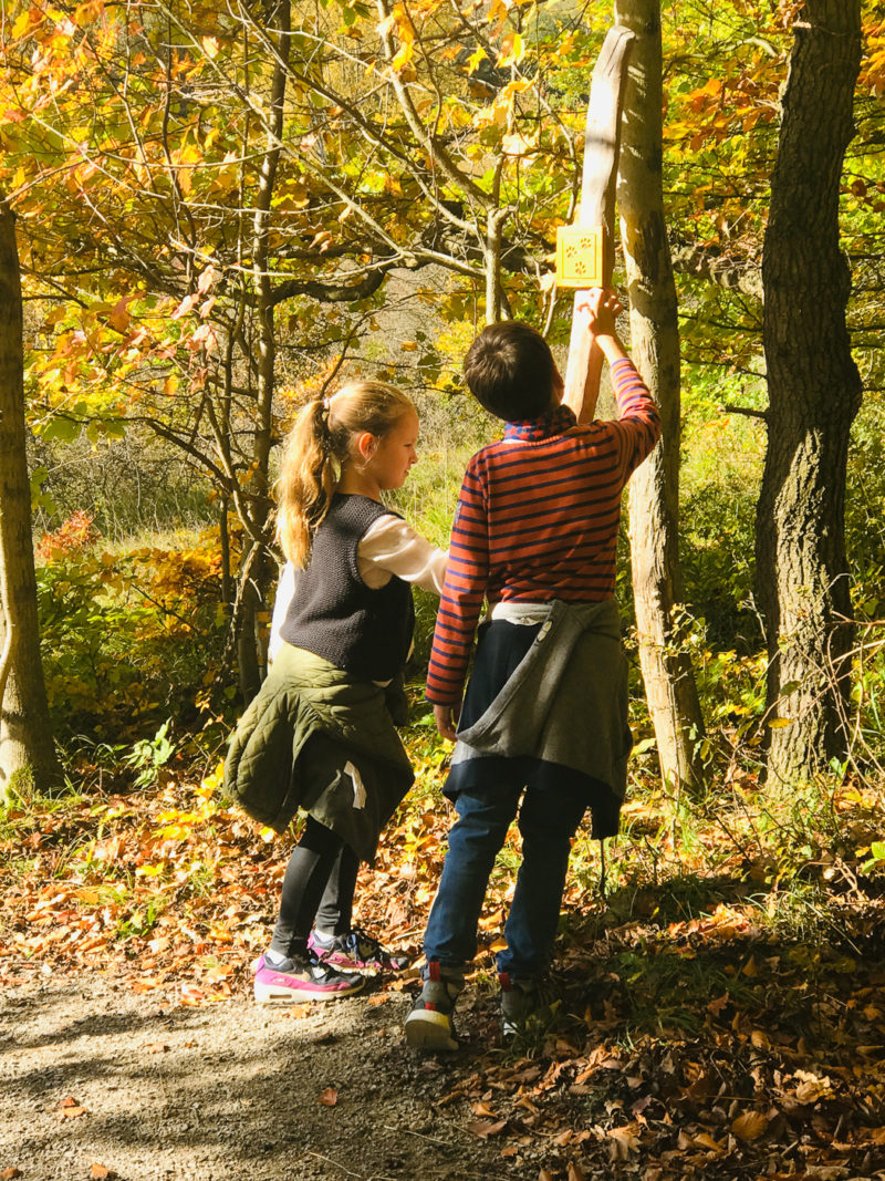 Schützt den Wald | berlinmittemom.com