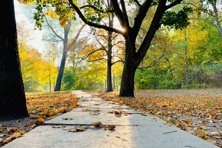 Wochenende in Bildern: Herbstfarben im Park