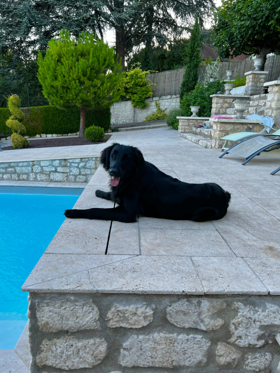 Mit Hund in Frankreich | berlinmittemom.com